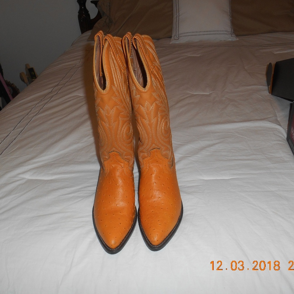 Cowgirl/boy boots
